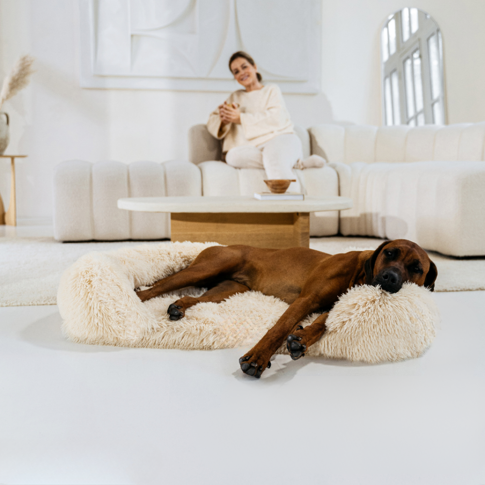 ComfortPaws – Orthopedisch Hondenbed voor Optimale Ondersteuning