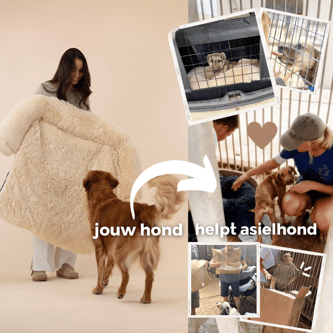 PurrfectNest – Luxe Huisdierenbed voor Ultiem Comfort
