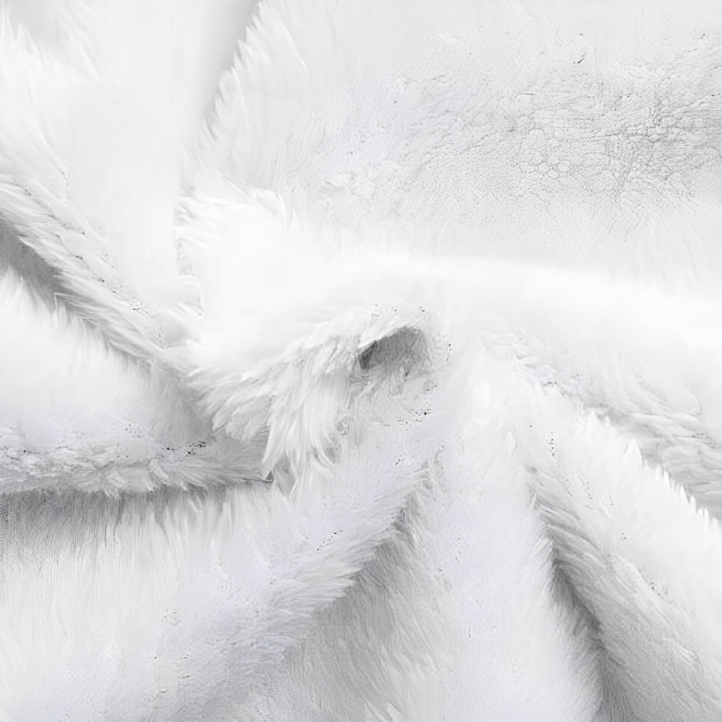 Regenjas met fleecevoering voor dames, duurzame polyesterstof biedt comfort en warmte, waterafstotend – NEOVARA - Glamorix
