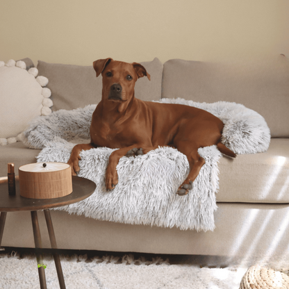 PurrfectNest – Luxe Huisdierenbed voor Ultiem Comfort