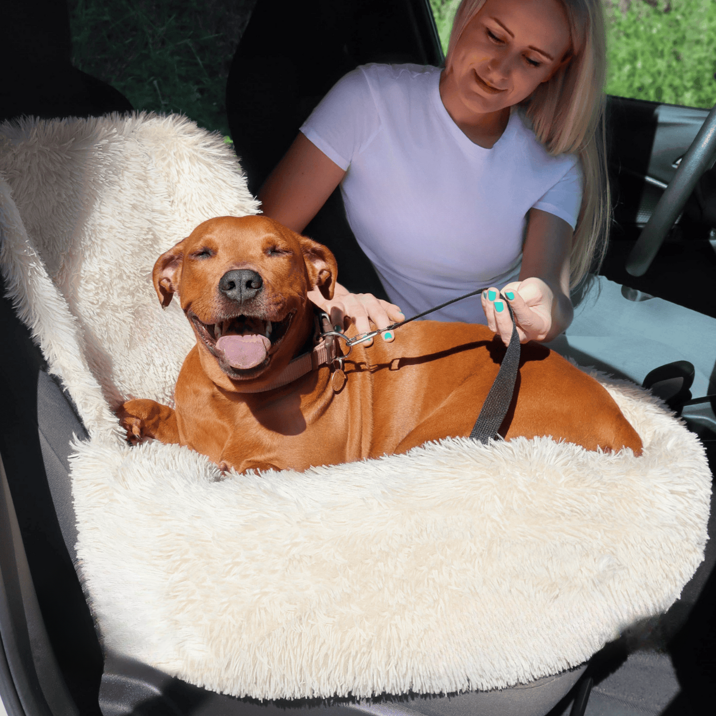 PETVOYAGER - Comfortabel Auto Hondenmandje voor Veilige Reizen