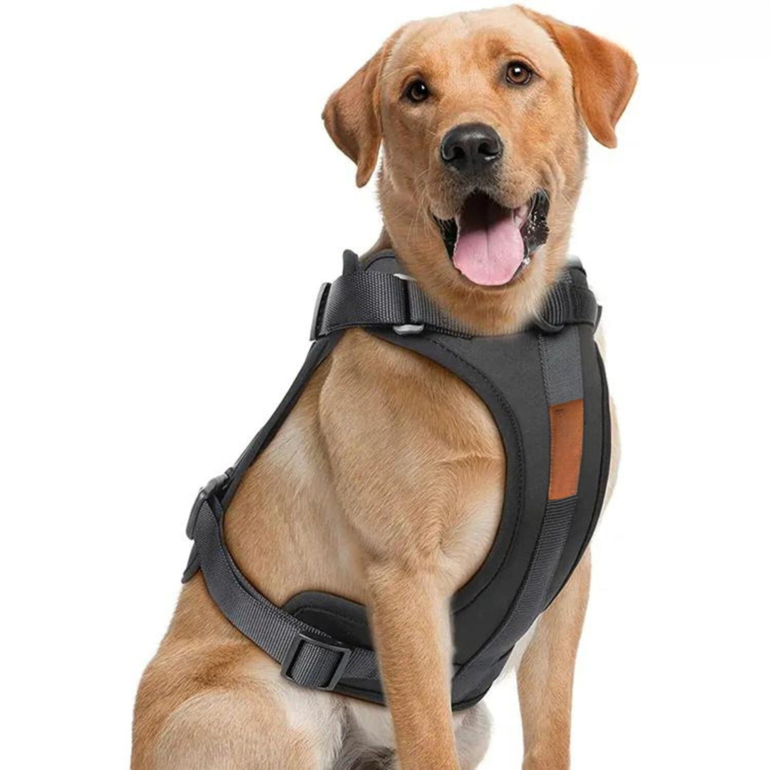 Comfortabel Harnas voor Uw Hond – Inclusief Riem