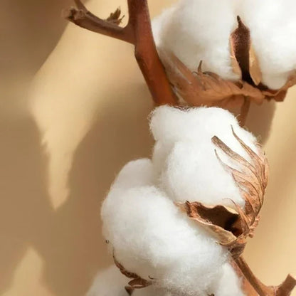 RoyalSilk - Premium Satijnen Katoen Geborduurd Beddengoed Set