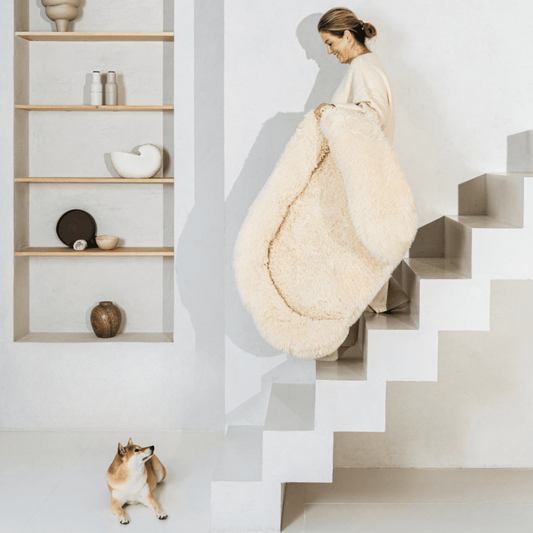 ComfortPaws – Orthopedisch Hondenbed voor Optimale Ondersteuning