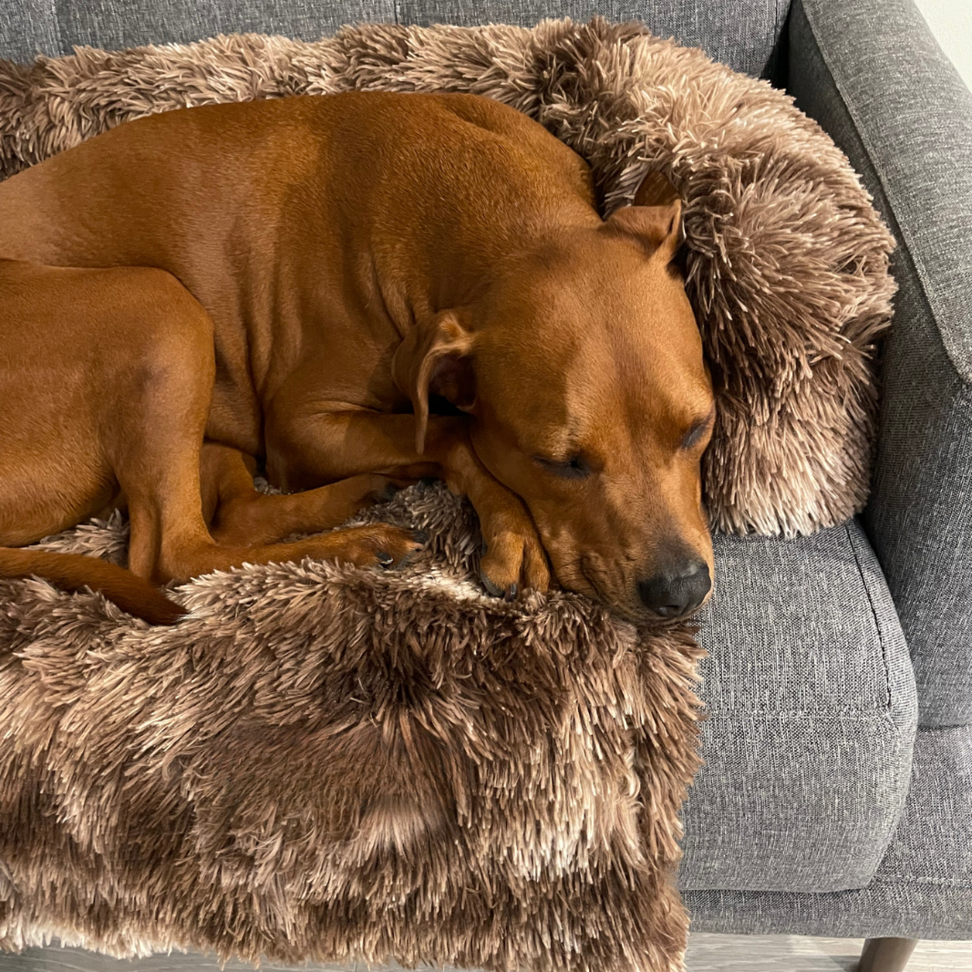 PurrfectNest – Luxe Huisdierenbed voor Ultiem Comfort