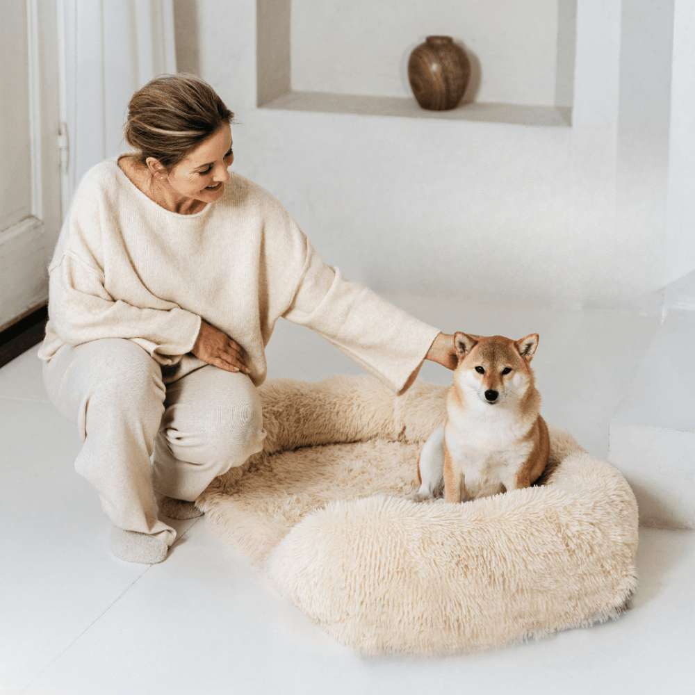 ComfortPaws – Orthopedisch Hondenbed voor Optimale Ondersteuning