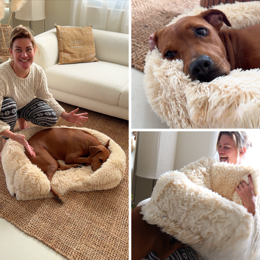 ComfortPaws – Orthopedisch Hondenbed voor Optimale Ondersteuning