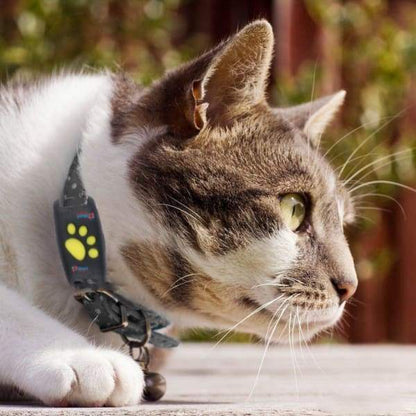 Realtime GPS-tracker halsband voor katten met satellietverbinding – FELINIQ SafeTrack - Glamorix