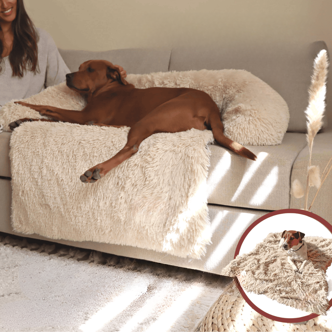 PurrfectNest – Luxe Huisdierenbed voor Ultiem Comfort