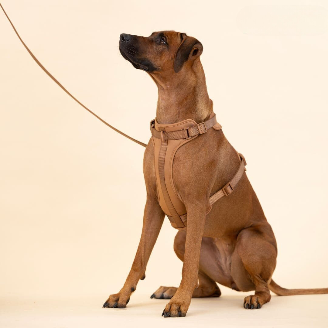 Comfortabel Harnas voor Uw Hond – Inclusief Riem