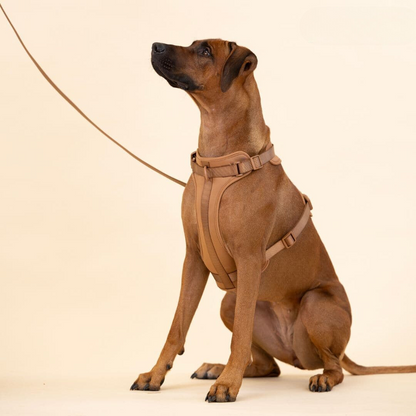 Comfortabel Harnas voor Uw Hond – Inclusief Riem