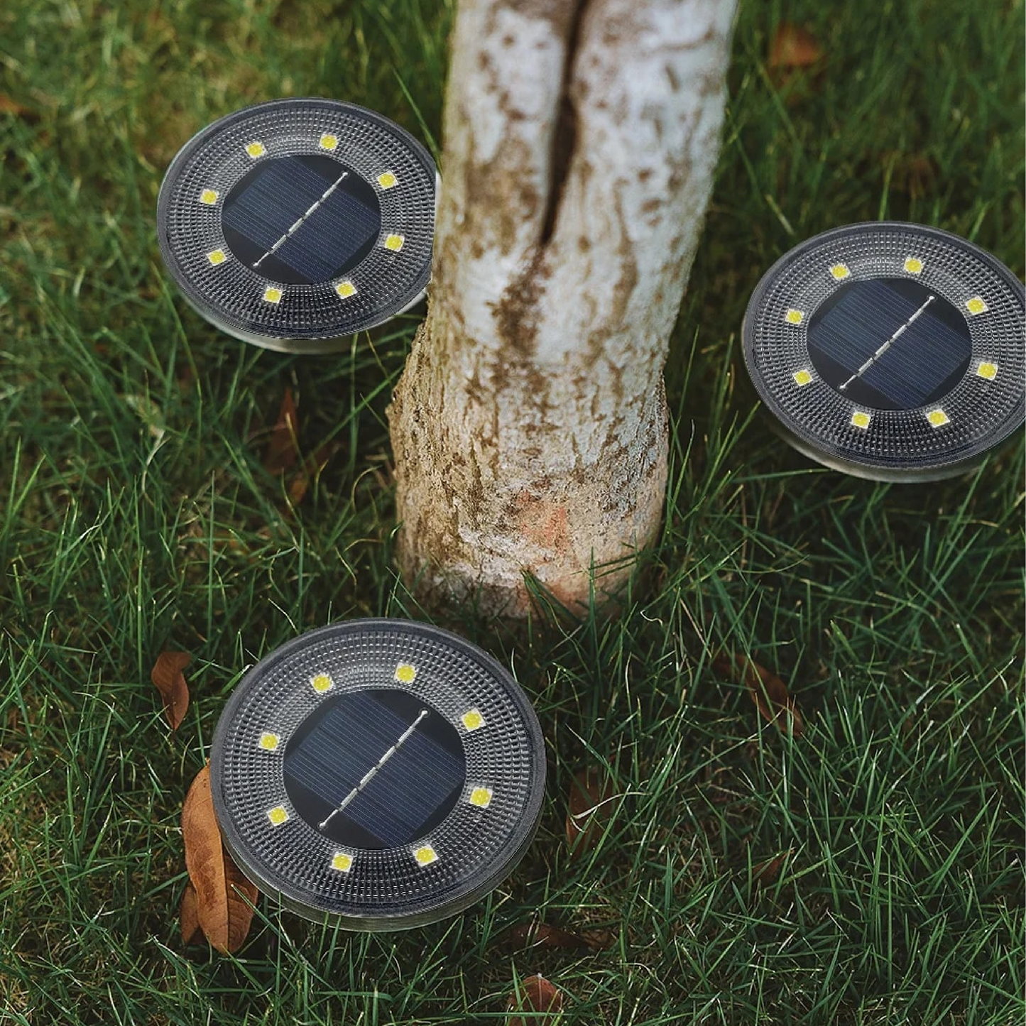 Solar tuinlampen – waterdichte LED buitenverlichting – ECOGLOW SOLAR - Glamorix