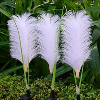 NaturGlow - Decoratieve Rieten Tuinverlichting