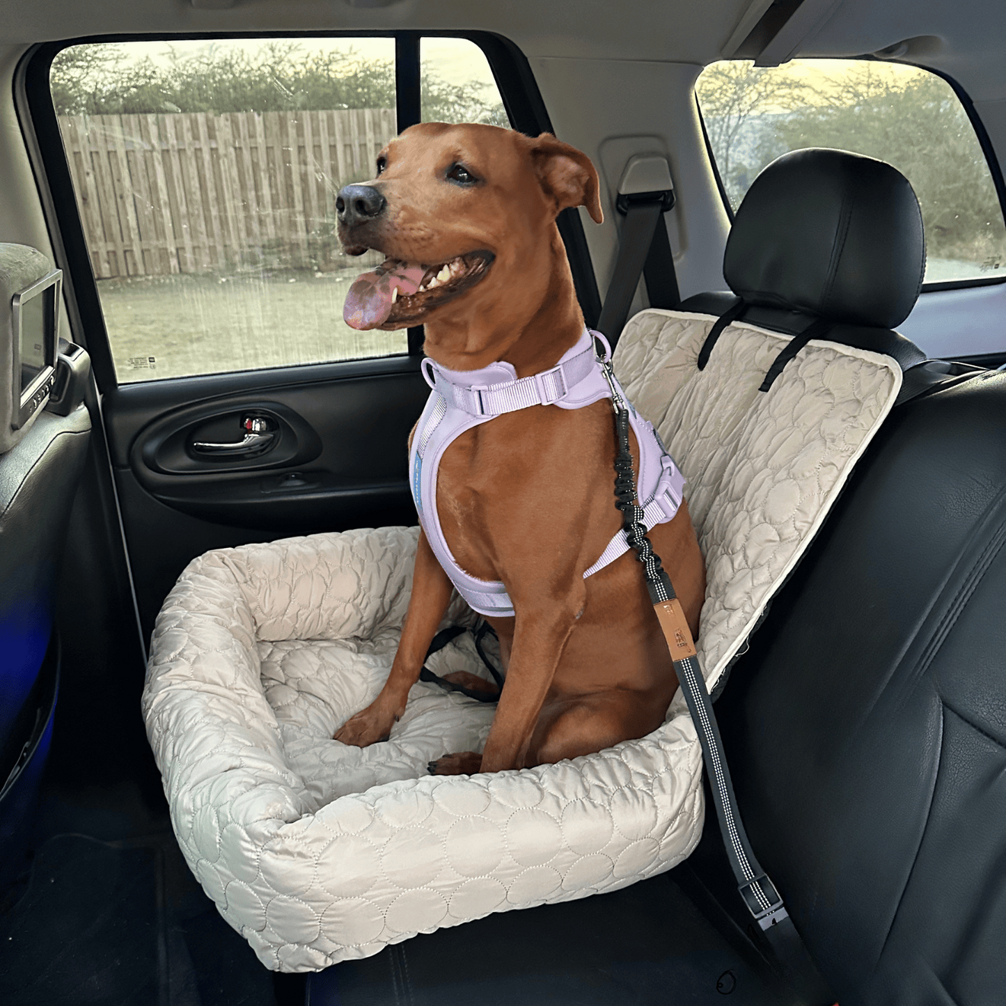 CoolRide – Verkoelend Autostoeltje voor Huisdieren