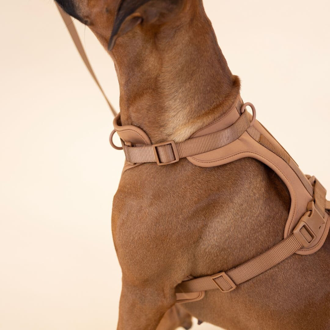 Comfortabel Harnas voor Uw Hond – Inclusief Riem