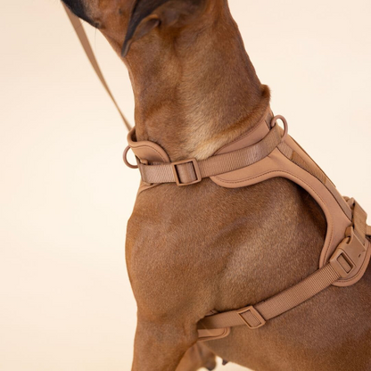 Comfortabel Harnas voor Uw Hond – Inclusief Riem