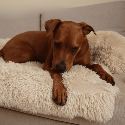 PurrfectNest – Luxe Huisdierenbed voor Ultiem Comfort