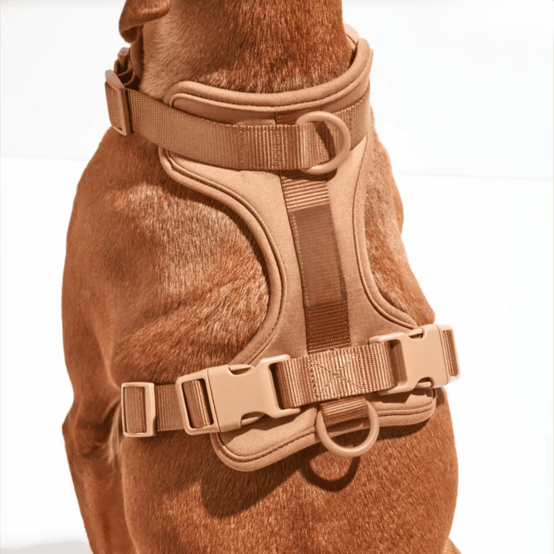 Comfortabel Harnas voor Uw Hond – Inclusief Riem