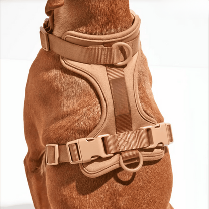 Comfortabel Harnas voor Uw Hond – Inclusief Riem