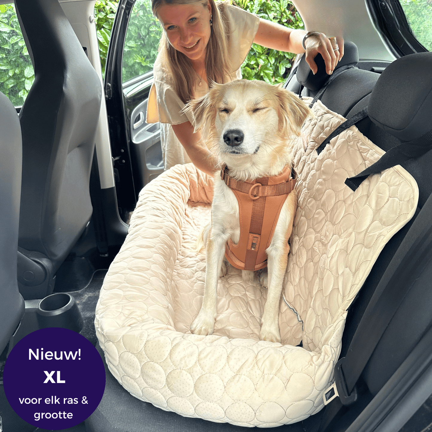 CoolRide – Verkoelend Autostoeltje voor Huisdieren