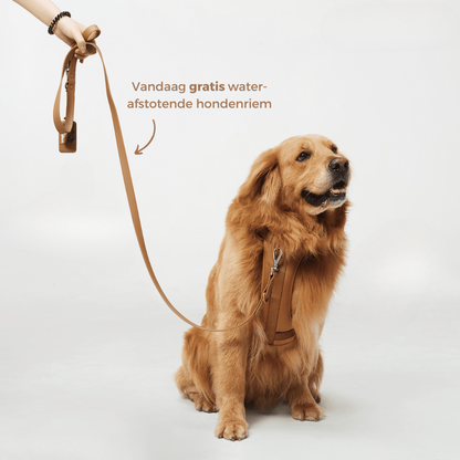 Comfortabel Harnas voor Uw Hond – Inclusief Riem