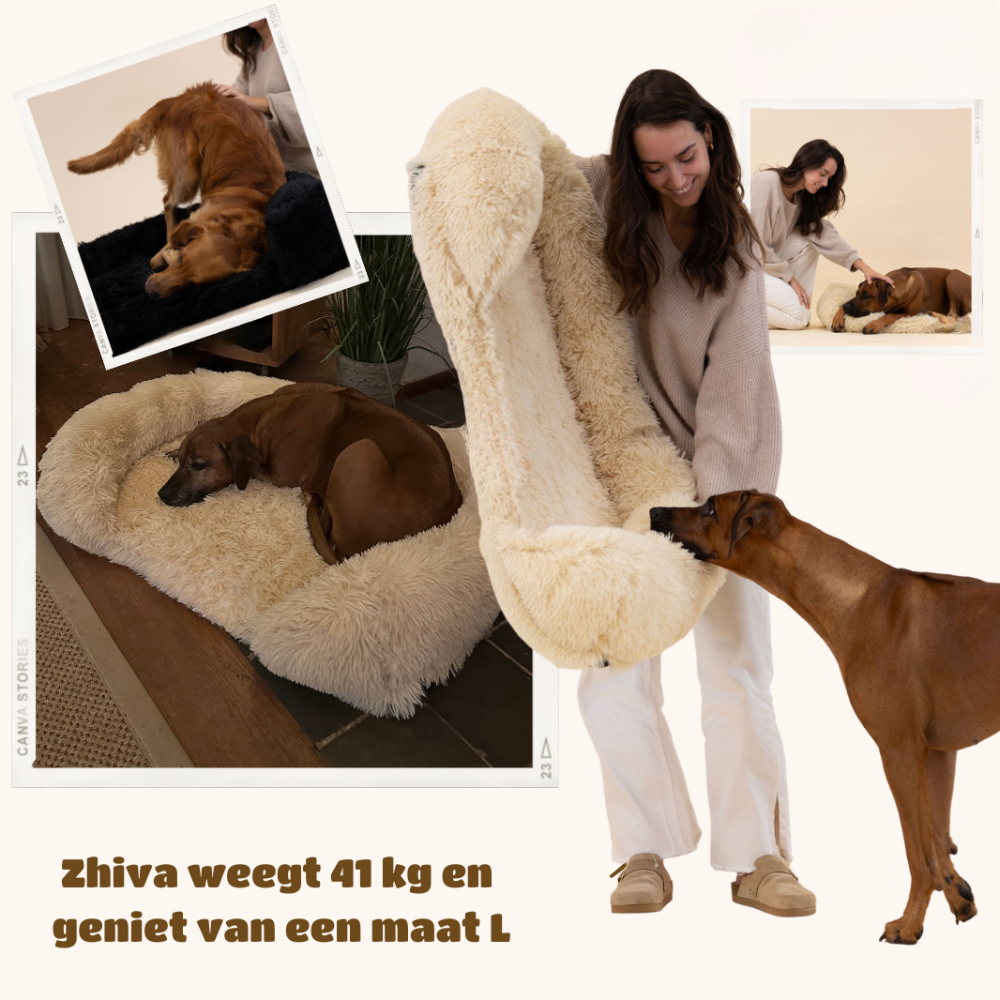ComfortPaws – Orthopedisch Hondenbed voor Optimale Ondersteuning