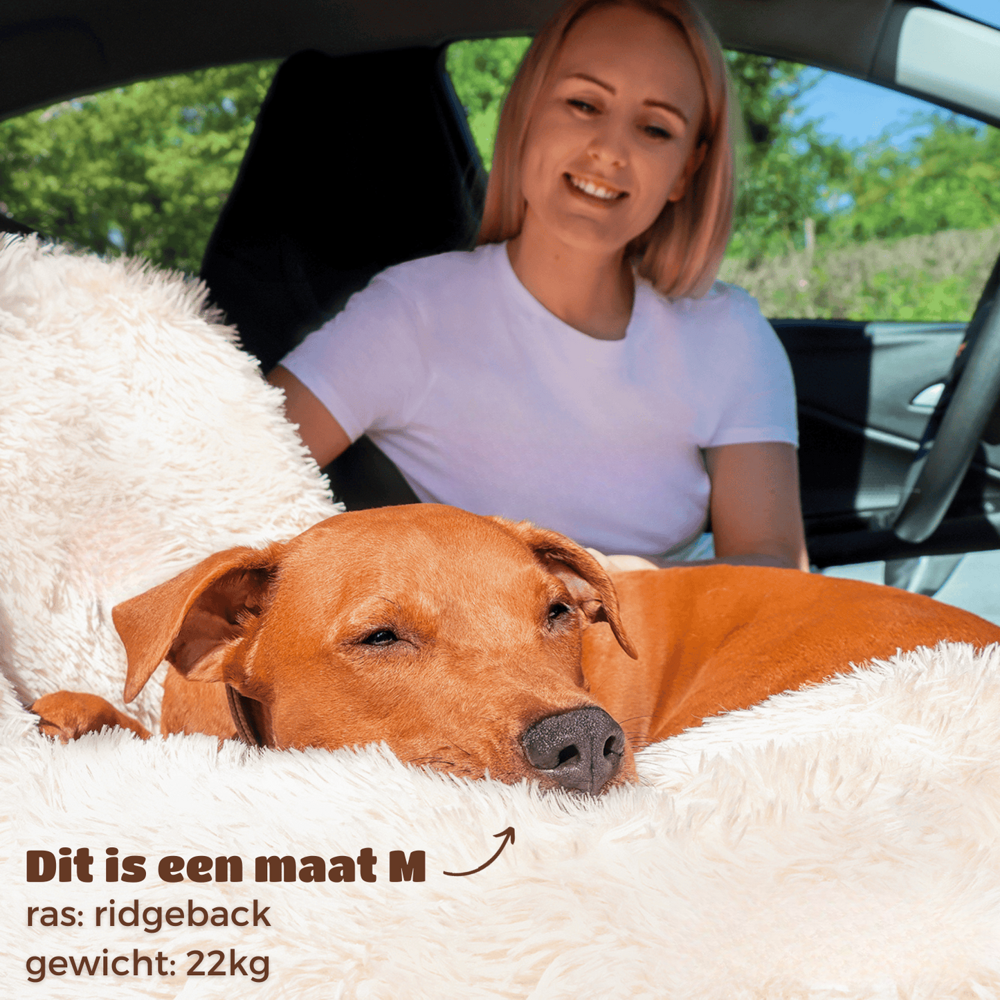 PETVOYAGER - Comfortabel Auto Hondenmandje voor Veilige Reizen