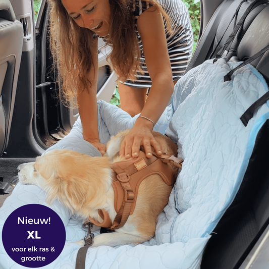 CoolRide – Verkoelend Autostoeltje voor Huisdieren