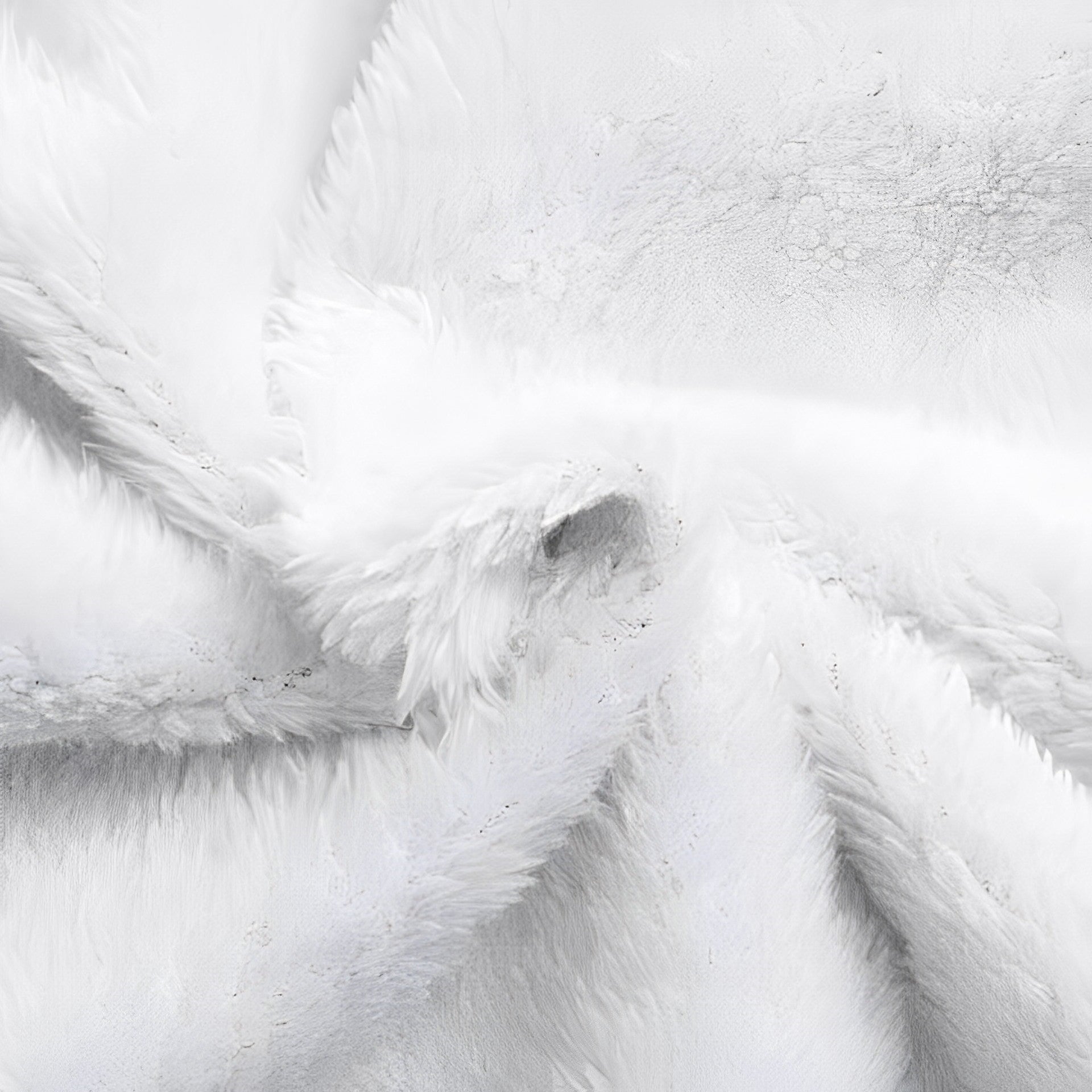 Regenjas met fleecevoering voor dames, duurzame polyesterstof biedt comfort en warmte, waterafstotend – NEOVARA - Glamorix