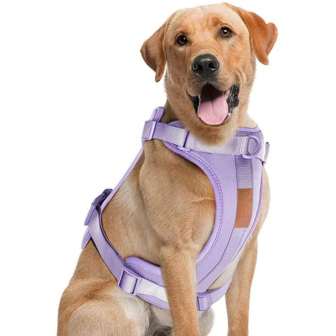 Comfortabel Harnas voor Uw Hond – Inclusief Riem