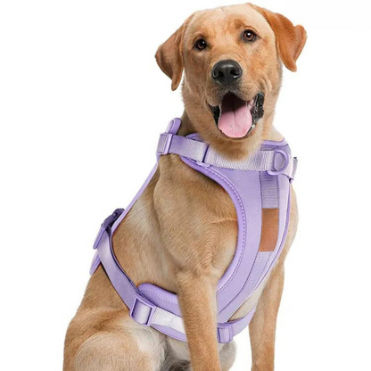 Comfortabel Harnas voor Uw Hond – Inclusief Riem