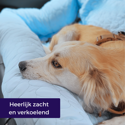 CoolRide – Verkoelend Autostoeltje voor Huisdieren