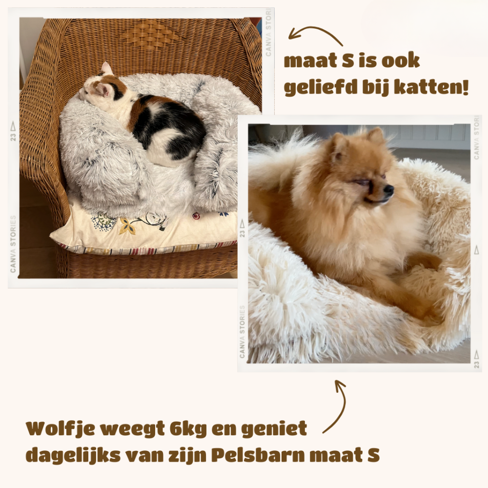ComfortPaws – Orthopedisch Hondenbed voor Optimale Ondersteuning