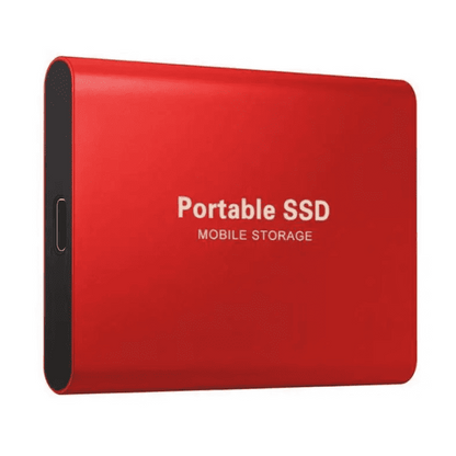 DataSprint – Ultrasnelle Draagbare SSD van 256 GB